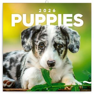 Mrežni koledar Kužki 2026