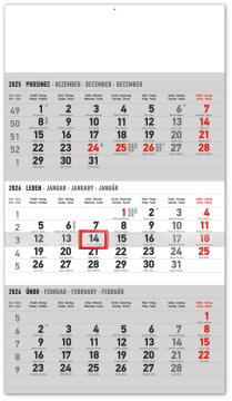 Stenski koledar 3-mesečni standardni sivi - s češkimi imeni 2026