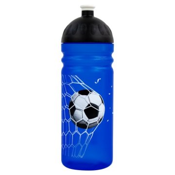 Steklenica R&amp;B Goal 700ml