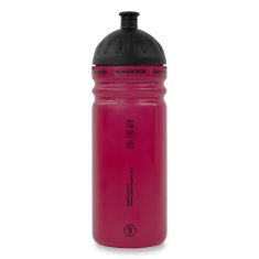 Steklenica R&amp;B Princess dude 700ml