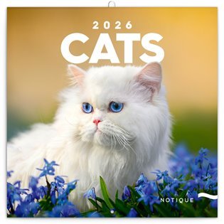 Mrežni koledar Mačke 2026