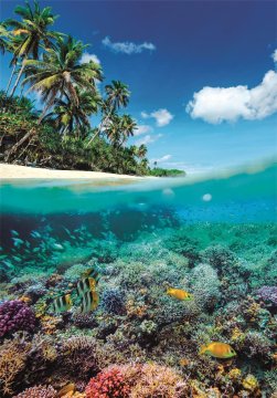 Clementoni Puzzle Poletni raj 1000 kosov