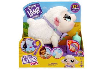 Little Live Pets Male žive živali - ovce