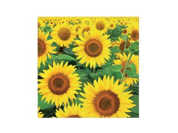 Prtički 33 cm - Sončnično polje