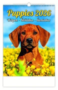 Stenski koledar 2026 - Kužki/Welpen/Puppies