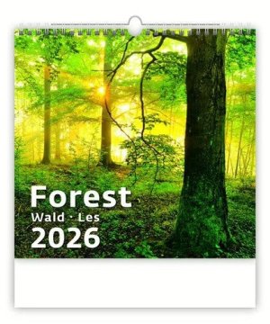 Stenski koledar 2026 - Forest/Wald/Les