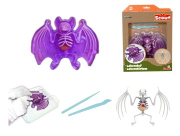 Simba Odkrijte disekcijo netopirja