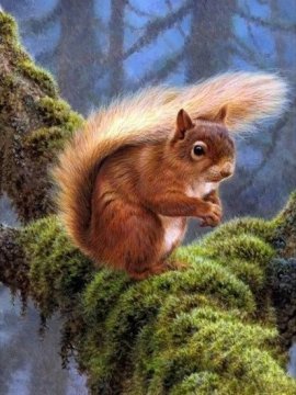 Diamantna slika - Veverica v gozdu 30x40 cm