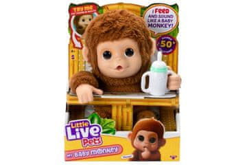 Little Live Pets Male žive živali - Opice