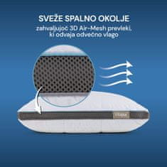 Vitapur MemoSilver Premium vzglavnik, blazina za spanje, 50x70cm