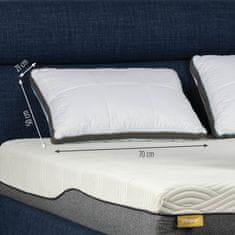 Vitapur MemoSilver Premium vzglavnik, blazina za spanje, 50x70cm