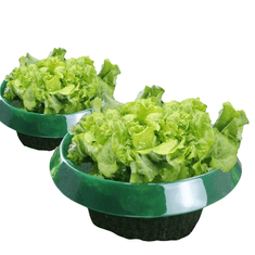 Nikcorp Ovratniki proti polžem 12 kosov | Mehanska zaščita rastlin za vrt | Ekološka pregrada pred polži brez kemikalij