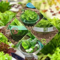 Nikcorp Komplet za zaščito rastlin pred polži 12x ovratnik 24cm in 12x vrečka | Mehanska pregrada za vrt brez kemikalij