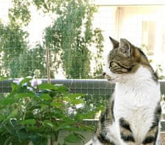 Nikcorp Zaščitna mreža za mačke za balkon in okno 5x5 m | Prozorna varnostna mreža proti padcem in pticam brez vrtanja