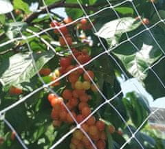 Nikcorp Zaščitna mreža za mačke za balkon in okno 5x5 m | Prozorna varnostna mreža proti padcem in pticam brez vrtanja