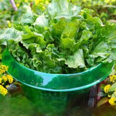 Nikcorp Zaščitni ovratnik proti polžem 20 kosov, premer 24 cm | Ekološka ograja za zaščito rastlin in zelenjave na vrtu