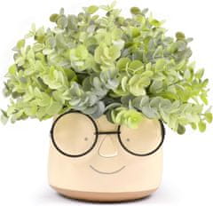 Nikcorp Dekorativna umetna rastlina v belem keramičnem lončku z očali, 20x20 cm, za dom in pisarno, brez vzdrževanja