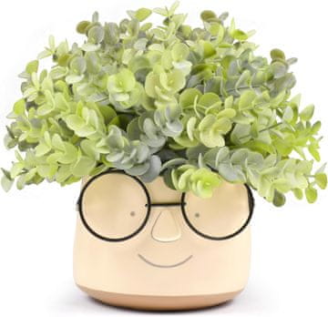 Nikcorp Dekorativna umetna rastlina v belem keramičnem lončku z očali, 20x20 cm, za dom in pisarno, brez vzdrževanja