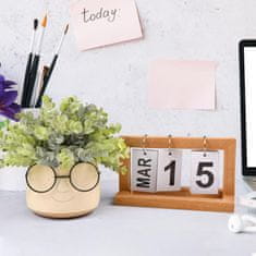 Nikcorp Dekorativna umetna rastlina v belem keramičnem lončku z očali, 20x20 cm, za dom in pisarno, brez vzdrževanja