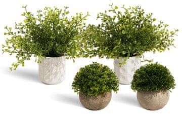 Nikcorp Komplet 4 umetnih rastlin v lončkih, realistična dekoracija za notranje prostore, zeleni listi z učinkom zmrznjene sivine