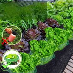 Nikcorp Zaščitni ovratnik za rastline proti polžem 20 kosov | Plastična pregrada za vrt in sadike | Zelena zaščita za zelenjavo