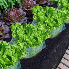 Nikcorp Zaščitni ovratnik proti polžem 30 kosov, plastična pregrada za zaščito rastlin in zelenjave na vrtu, 24x12 cm