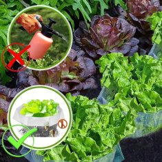 Nikcorp Zaščitni ovratnik proti polžem za vrtne rastline in zelenjavo - komplet 20 kosov, zelena barva, 24x12 cm, za večkratno uporabo