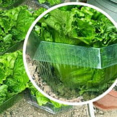 Nikcorp Zaščitni ovratnik proti polžem za vrtne rastline in zelenjavo - komplet 30 kosov, prozorna plastika, 24x12 cm