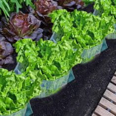 Nikcorp Zaščitni ovratnik proti polžem za vrtne rastline in zelenjavo - komplet 30 kosov, prozorna plastika, 24x12 cm