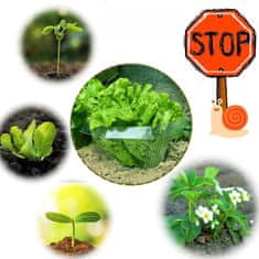 Nikcorp Zaščitni ovratnik proti polžem za vrtne rastline in zelenjavo | 10 kosov | Zelena plastična pregrada za gredice