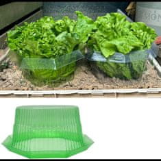 Nikcorp Zaščitni ovratnik proti polžem za vrtne rastline in zelenjavo | 10 kosov | Zelena plastična pregrada za gredice