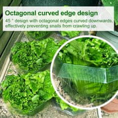 Nikcorp Ovratnice proti polžem za zaščito rastlin, 20 kosov, vzdržljiv plastični obroč za vrt, zelenjavo in rože, zelene