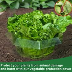 Nikcorp Ovratnice proti polžem 20 kosov Ø 24 cm, zaščitni obroči za solato in vrtnine, prozorna PET plastika za večkratno uporabo