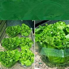 Nikcorp Ovratnice proti polžem 20 kosov Ø 24 cm, zaščitni obroči za solato in vrtnine, prozorna PET plastika za večkratno uporabo