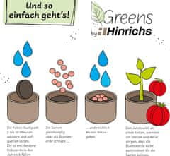 Nikcorp Komplet za gojenje paradižnika z zemljo in semeni v okrasni vreči iz jute za balkon, teraso ali vrt, idealno za začetnike