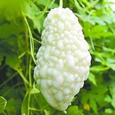 Nikcorp Semena kitajske grenke melone (Balzamka) - bela sorta, 10 semen, Momordica charantia, eksotična zelenjava