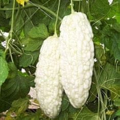 Nikcorp Semena kitajske grenke melone (Balzamka) - bela sorta, 10 semen, Momordica charantia, eksotična zelenjava