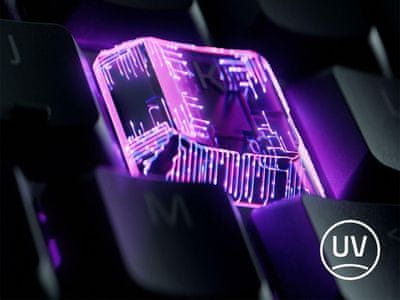 Lokalizirana postavitev