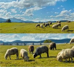 Reolink G770 CAMO IP kamera + solarni panel, 8MP 4K Ultra HD, 4G LTE, 355° vrtenje, dvosmerna komunikacija