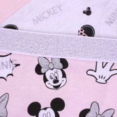 Disney DISNEY Minnie Mouse Youth COTTON dekliške spodnjice 2 pari UDOBNE 116