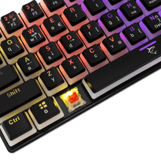 White Shark TIPKOVNICA GK-2202 ASHIKO Black / HR / BLUE.SW.