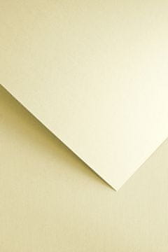 shumee Dekorativni papirnati trakovi /20 kosov/ 230 g Galeria Papieru 203702 KREM