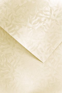 shumee Dekorativni papir Olympia /20 kosov/ Galeria Papieru 220 g 203422 KREM
