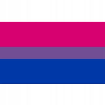 shumee LGBT MAVRIČNA ZASTAVA VELIKA 90x150cm BISEKSUALNOST F7