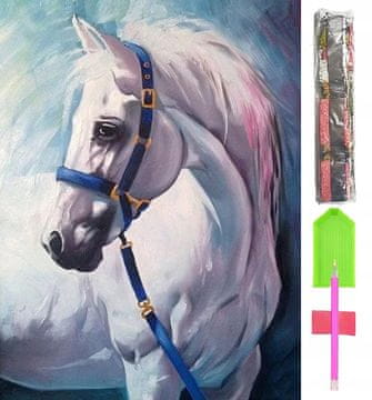 shumee 5D DIAMANTNI VEZENSKI komplet Slika MOZAIK 40*60cm