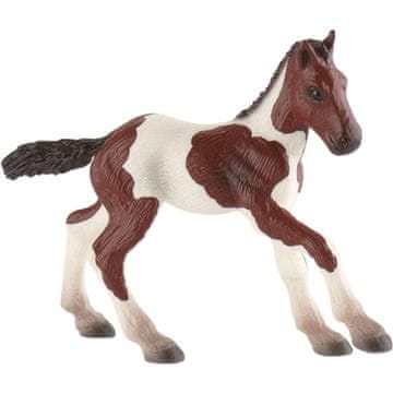 Bullyland Žrebe pasme Quarter Horse