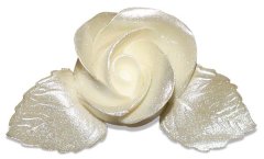 shumee Barvilo za živila PEARL v spreju 50 ml