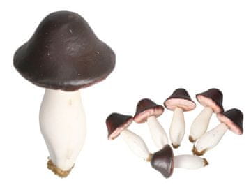 shumee DEKORATIVNE GOBE 6 KOSOV OKRAS ZA VENČEK