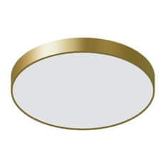 Italux Stropna svetilka Orbital 5361860RCGD3 Italux