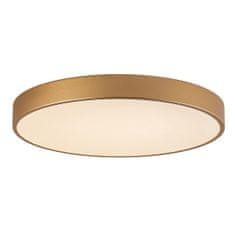 Italux Stropna svetilka Orbital 5361860RCGD3 Italux